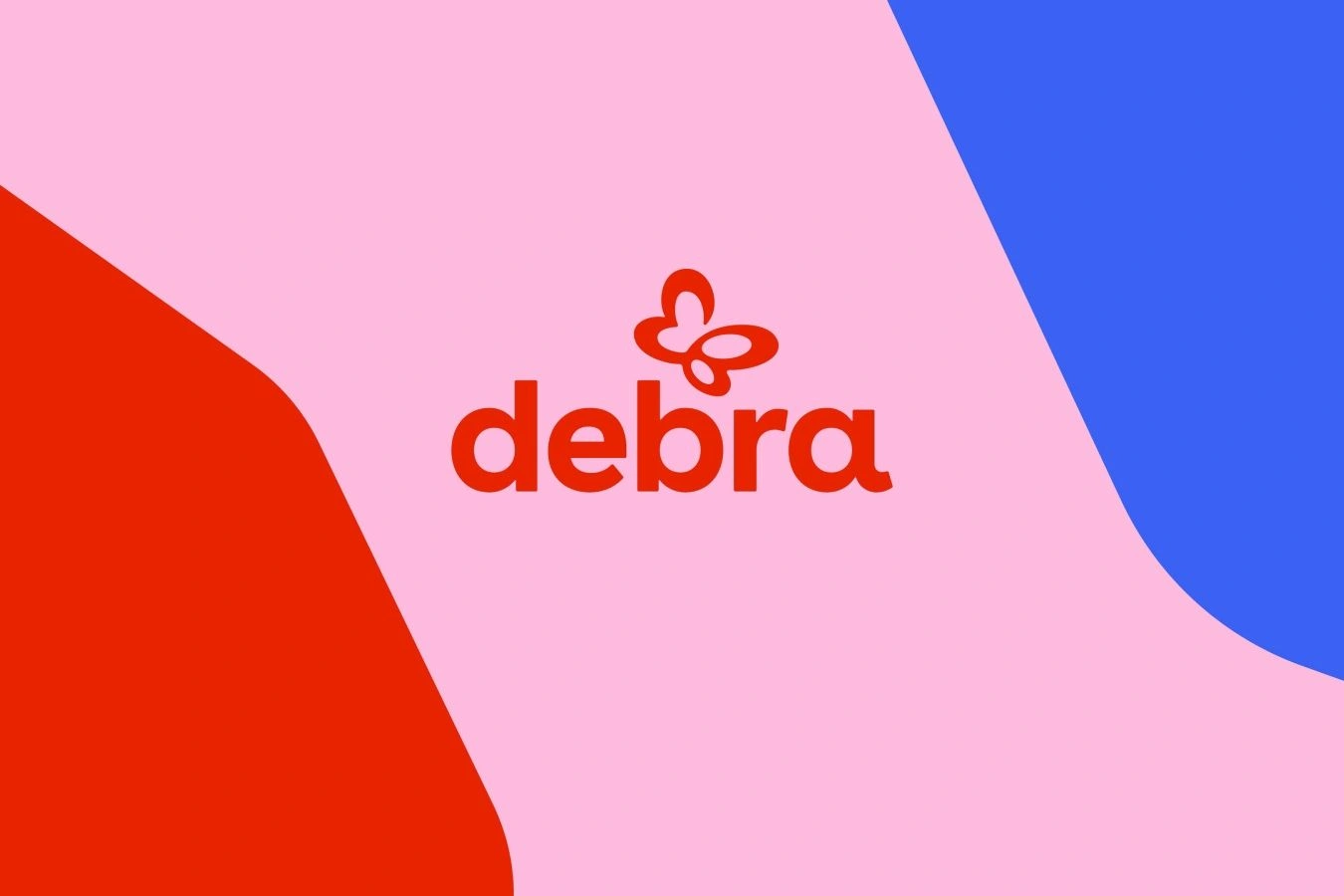 Debra Project