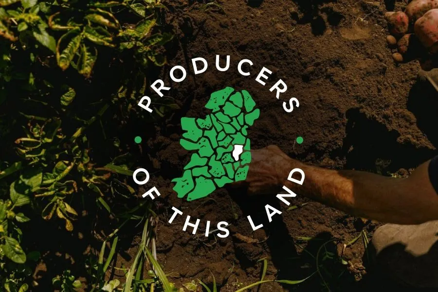 Marks & Spencer Project